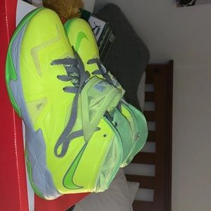 Lebron James Nike shoes
